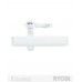 Доводчик накладной RYOBI 2000 DS-2005V WHITE BC STD_HO_ARM EN_3/4/5 до_100кг 1250мм